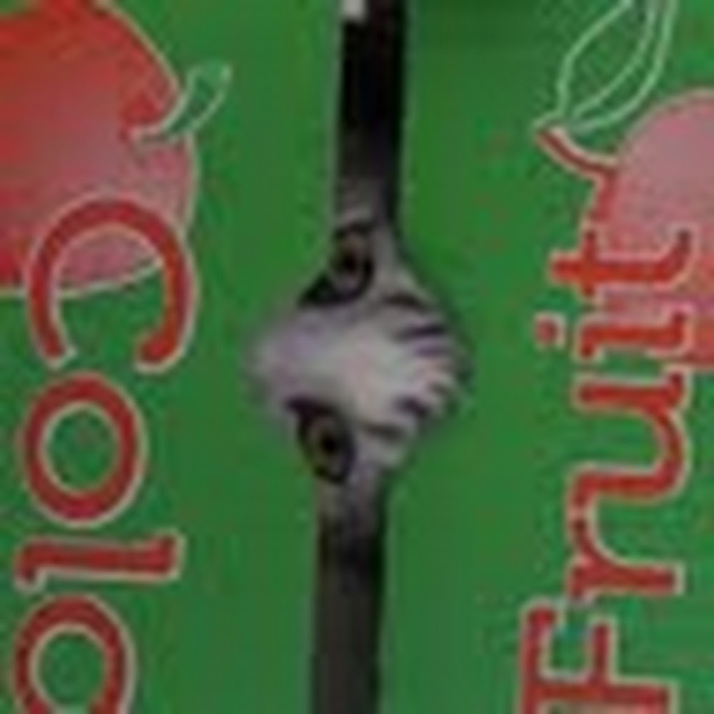 Meet your Posher, Magdalena